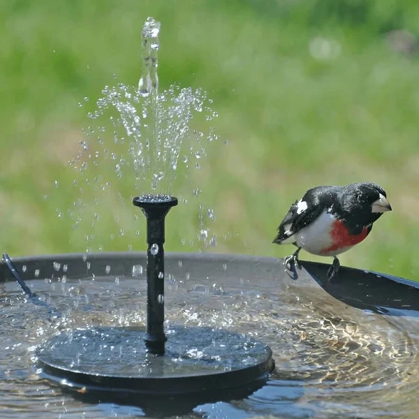 Hot Sale🔥⛲ Solar Fountain, Solar Powered Bird Bath Fountain Pump