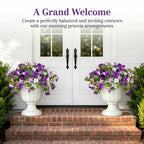 Spring Bloom Artificial Petunia Arrangement