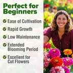 🔥Zinnia Seeds - Pure Seeds - No Filler - Heirloom Flower Seeds