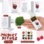 👩‍🏫💖Teacher Appreciation Crystal Apple Gift Set – Bulk 12/24 Packs🍎Ready to gift — no wrapping stress!🎁