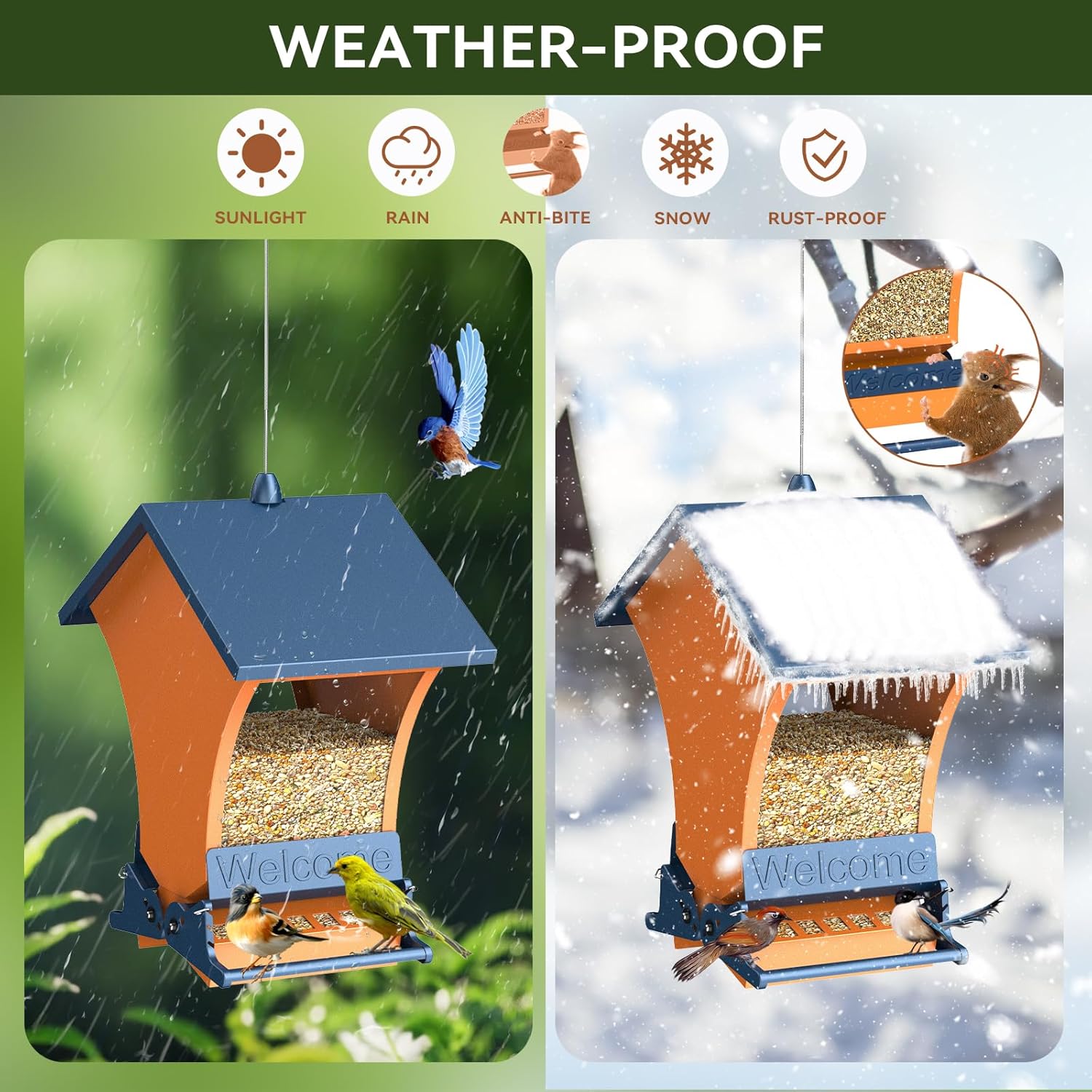 🐦Squirrel Proof Bird Feeder for Outdoors Hanging