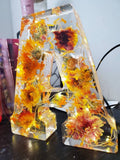 🌸Last Day 49% OFF - Flowers Resin Night Light (Free Shipping)