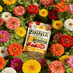 🔥Zinnia Seeds - Pure Seeds - No Filler - Heirloom Flower Seeds