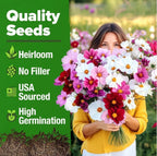 🔥Zinnia Seeds - Pure Seeds - No Filler - Heirloom Flower Seeds