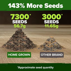 🔥Zinnia Seeds - Pure Seeds - No Filler - Heirloom Flower Seeds