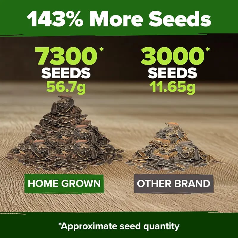 🔥Zinnia Seeds - Pure Seeds - No Filler - Heirloom Flower Seeds