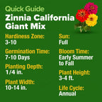 🔥Zinnia Seeds - Pure Seeds - No Filler - Heirloom Flower Seeds