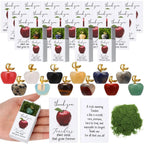 👩‍🏫💖Teacher Appreciation Crystal Apple Gift Set – Bulk 12/24 Packs🍎Ready to gift — no wrapping stress!🎁