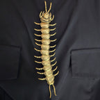 🔥Last Day 49% OFF - 🖤🐛Centipede button cover