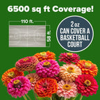 🔥Zinnia Seeds - Pure Seeds - No Filler - Heirloom Flower Seeds